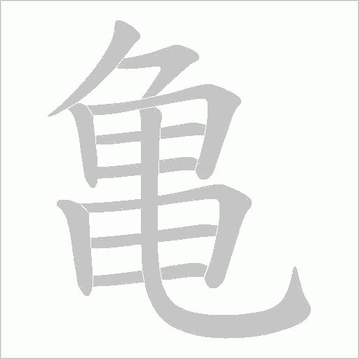 亀的筆順動(dòng)畫(huà)演示