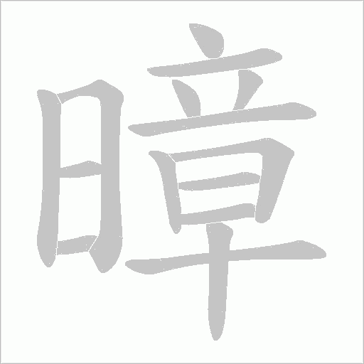 暲的筆順動畫演示