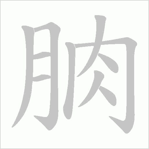 朒的筆順動畫演示