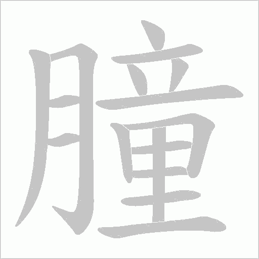 朣的筆順動畫演示