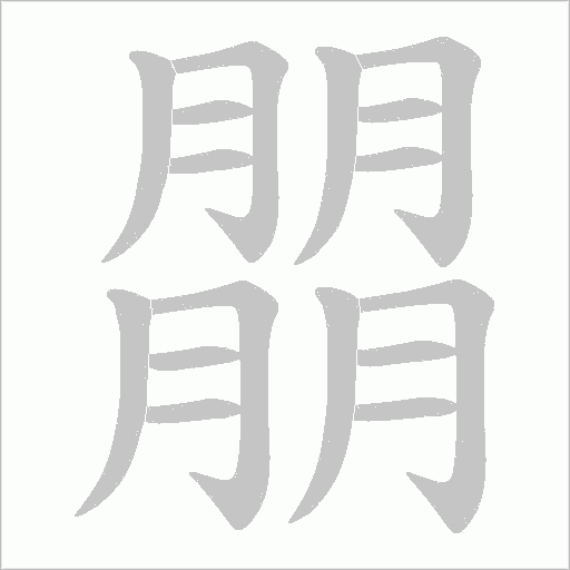 朤的筆順動(dòng)畫(huà)演示