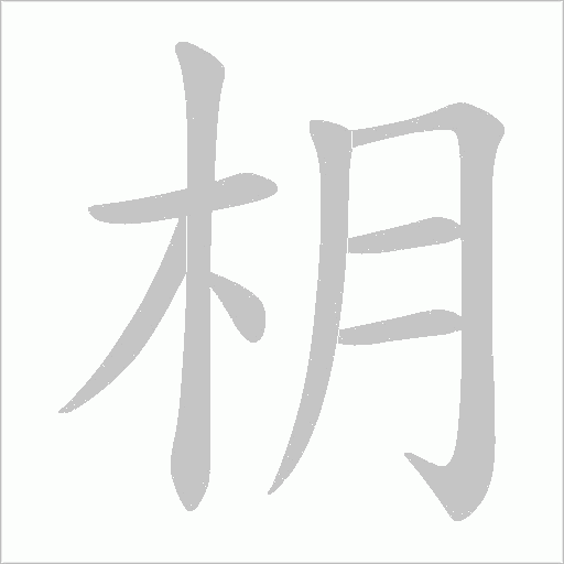 枂的筆順動畫演示