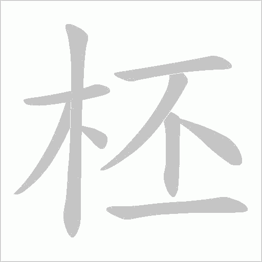 柸的筆順動畫演示