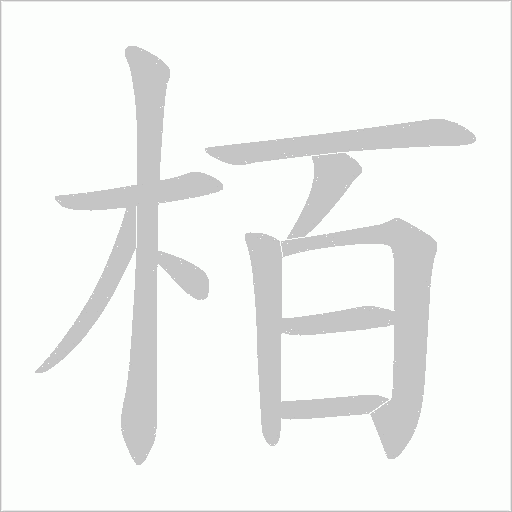 栢的筆順動畫演示