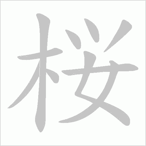 桜的筆順動(dòng)畫演示