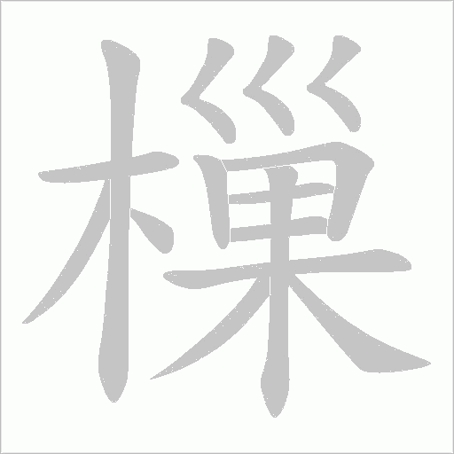 樔的筆順動(dòng)畫(huà)演示
