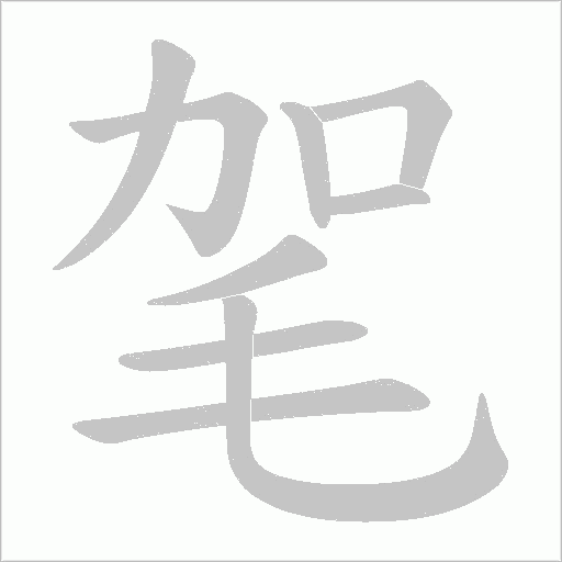 毠的筆順動畫演示