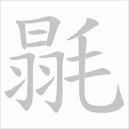毾的筆順動(dòng)畫演示