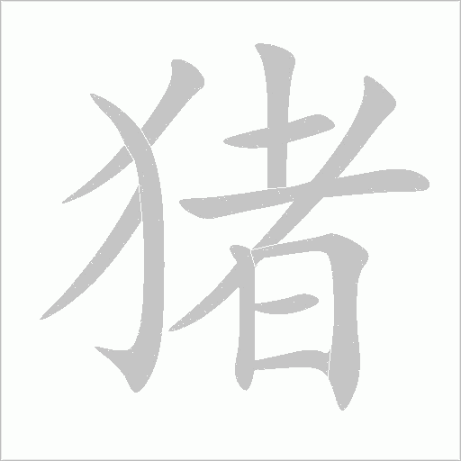 豬的筆順動畫演示