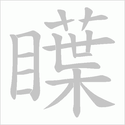 瞸的筆順動畫演示