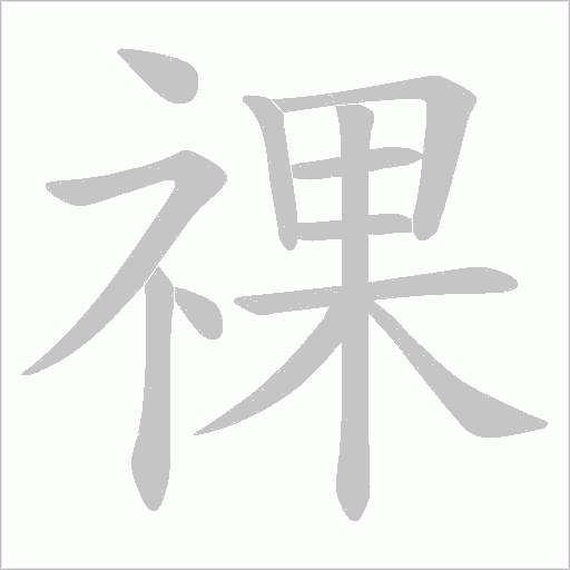 祼的筆順動畫演示