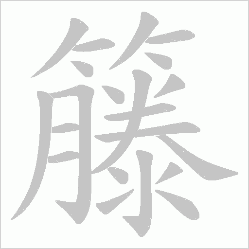 籐的筆順動畫演示