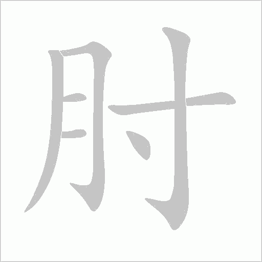 肘的筆順動畫演示