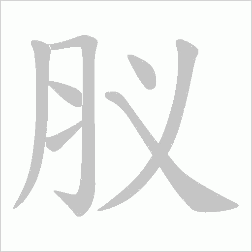 肞的筆順動(dòng)畫演示