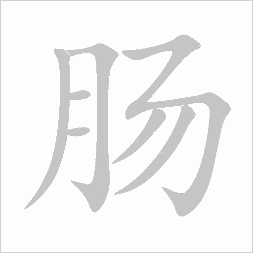腸的筆順動畫演示
