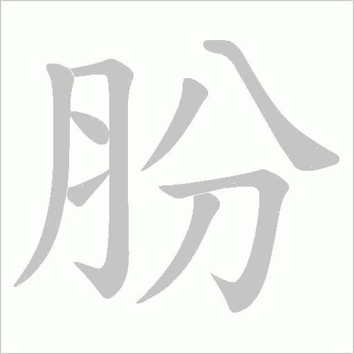 肦的筆順動畫演示