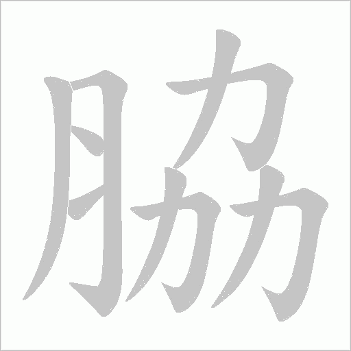 脇的筆順動畫演示