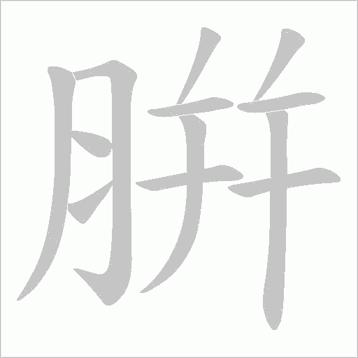 腁的筆順動畫演示