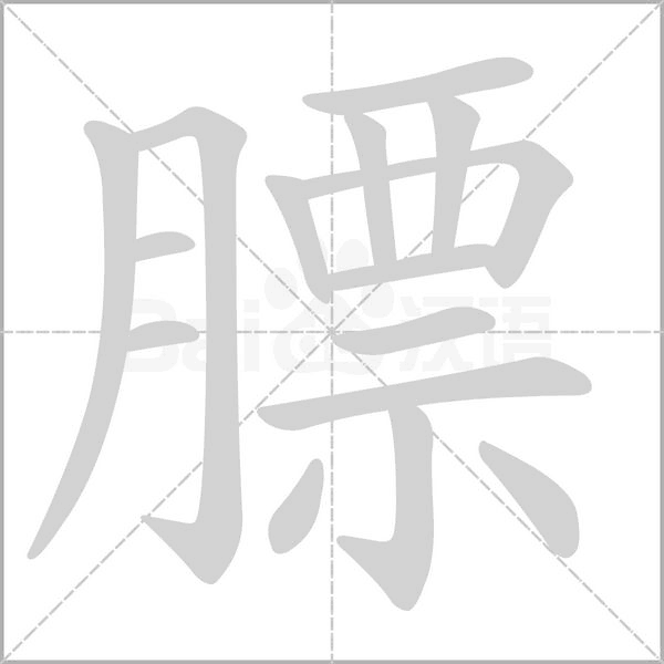 膘的筆順動(dòng)畫演示
