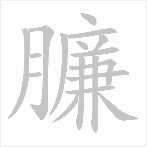 臁的筆順動畫演示