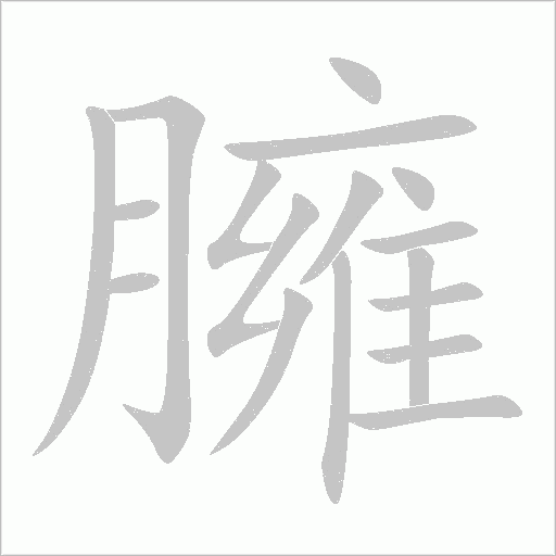 臃的筆順動畫演示