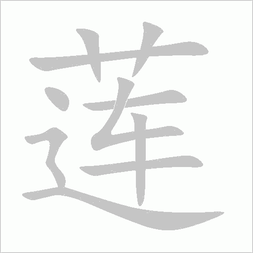 蓮的筆順動畫演示