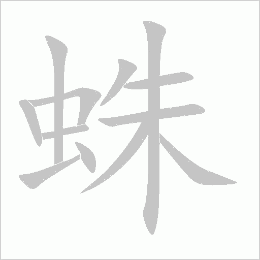 蛛的筆順動(dòng)畫演示