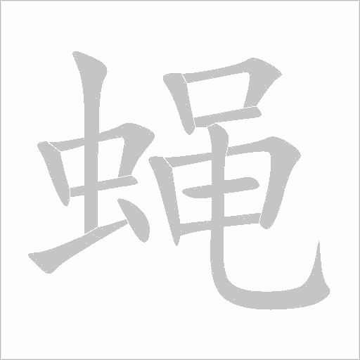蠅的筆順動畫演示