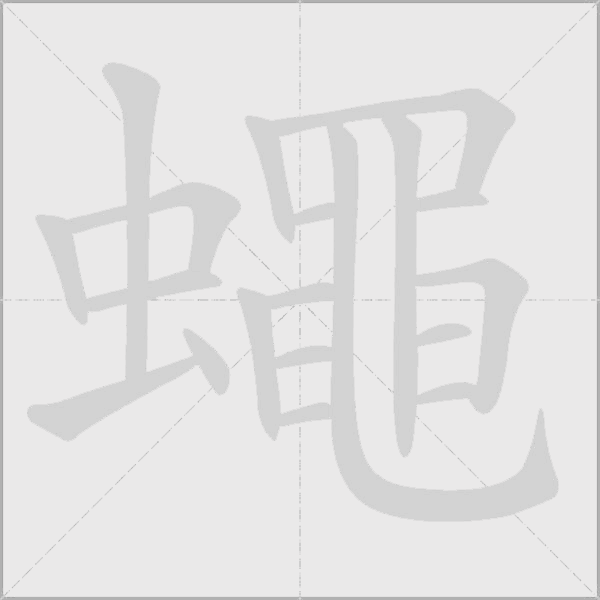 蠅的筆順動畫演示