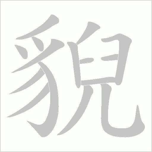 貎的筆順動畫演示