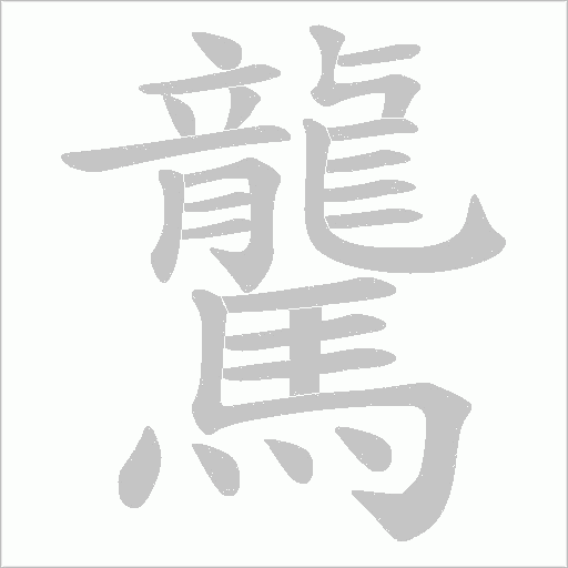 驡的筆順動(dòng)畫演示