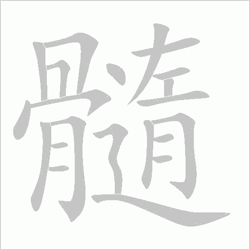 髓的筆順動畫演示