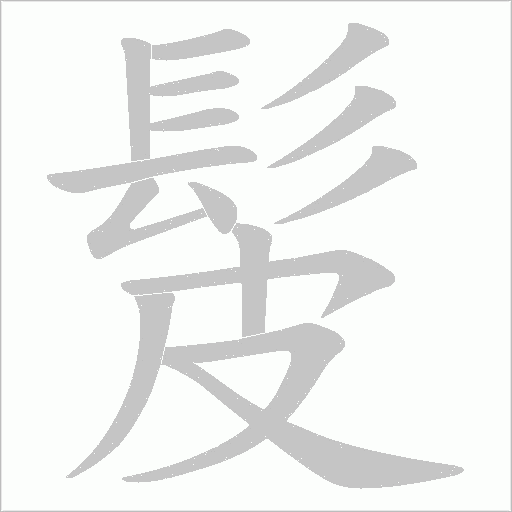 髲的筆順動畫演示