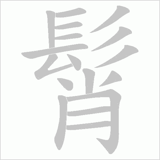 髾的筆順動畫演示