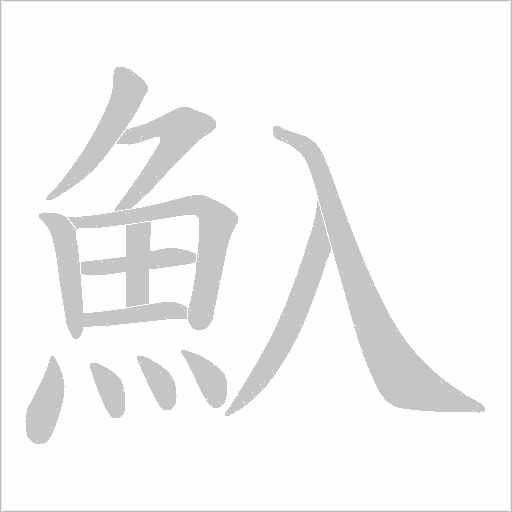 魞的筆順動畫演示
