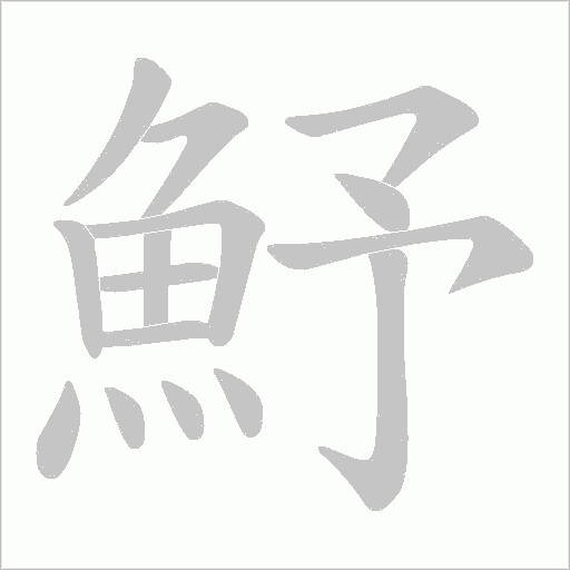 魣的筆順動畫演示