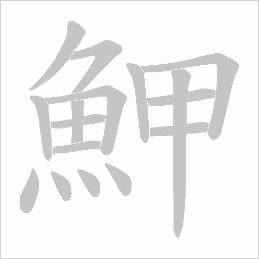 魻的筆順動畫演示