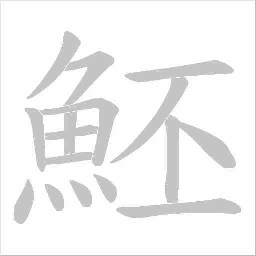 魾的筆順動畫演示