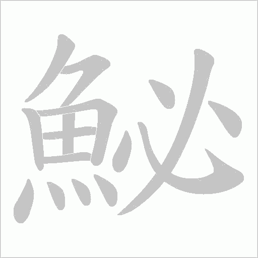 鮅的筆順動畫演示