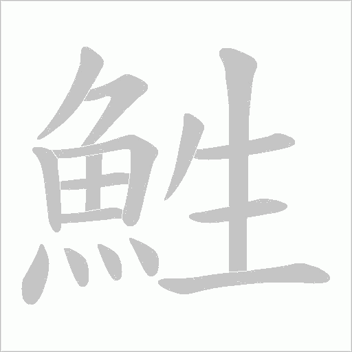 鮏的筆順動畫演示