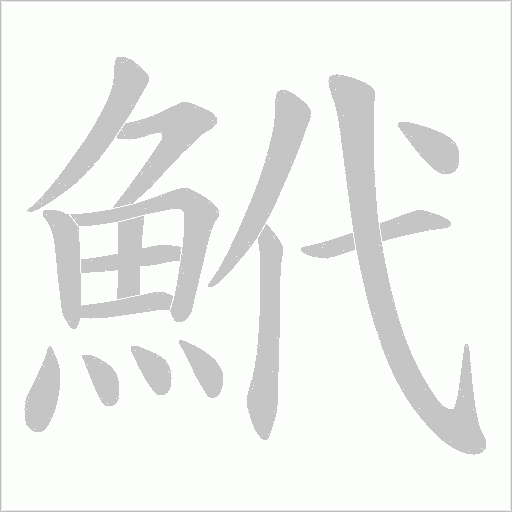 鮘的筆順動畫演示