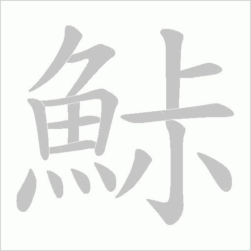 鮛的筆順動畫演示