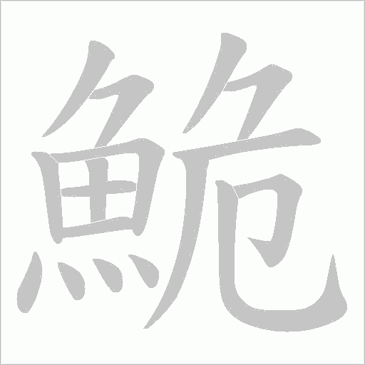 鮠的筆順動畫演示