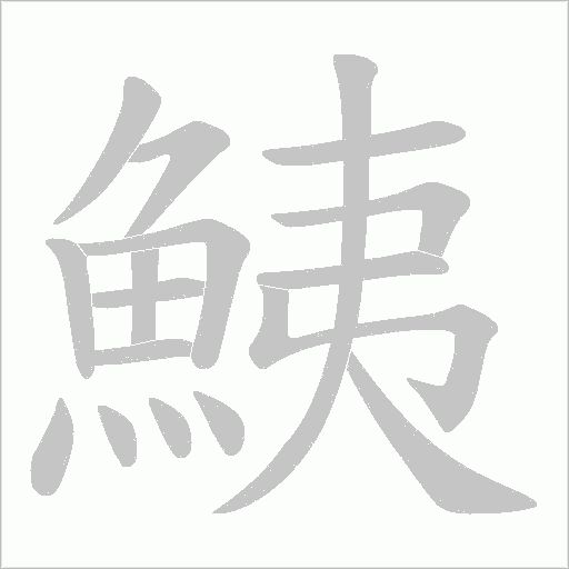 鮧的筆順動畫演示