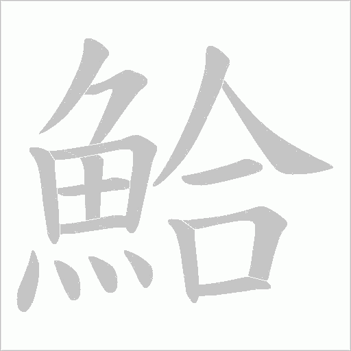 鮯的筆順動(dòng)畫演示