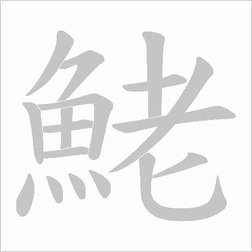 鮱的筆順動(dòng)畫(huà)演示