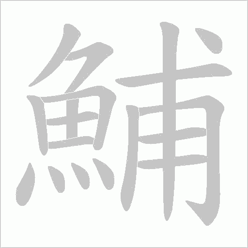 鯆的筆順動(dòng)畫(huà)演示