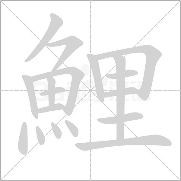 鯉的筆順動(dòng)畫演示