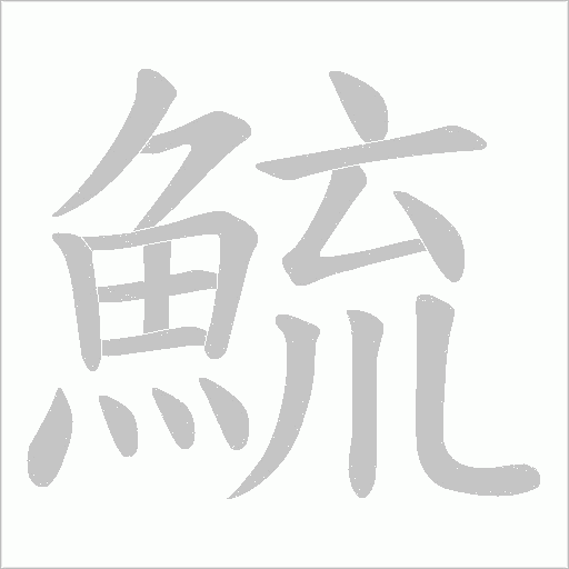鯍的筆順動(dòng)畫演示