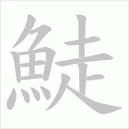 鯐的筆順動畫演示